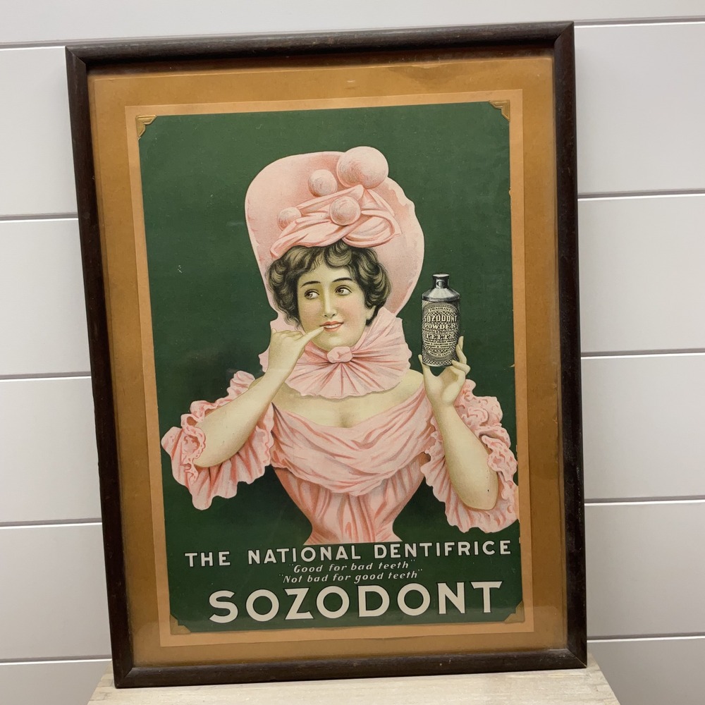 Vintage Sozodont The National Dentifrice Framed Advertising Print 12.5x18.5